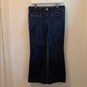 American Eagle Stretch Hipster Jeans - 12 Short